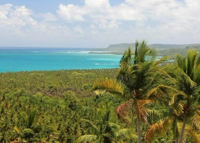 Oceanview Land for Sale overlooking PLAYA RINCON Samana Dominican Republic.